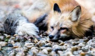 嗨歌快快快 嗨歌快快快